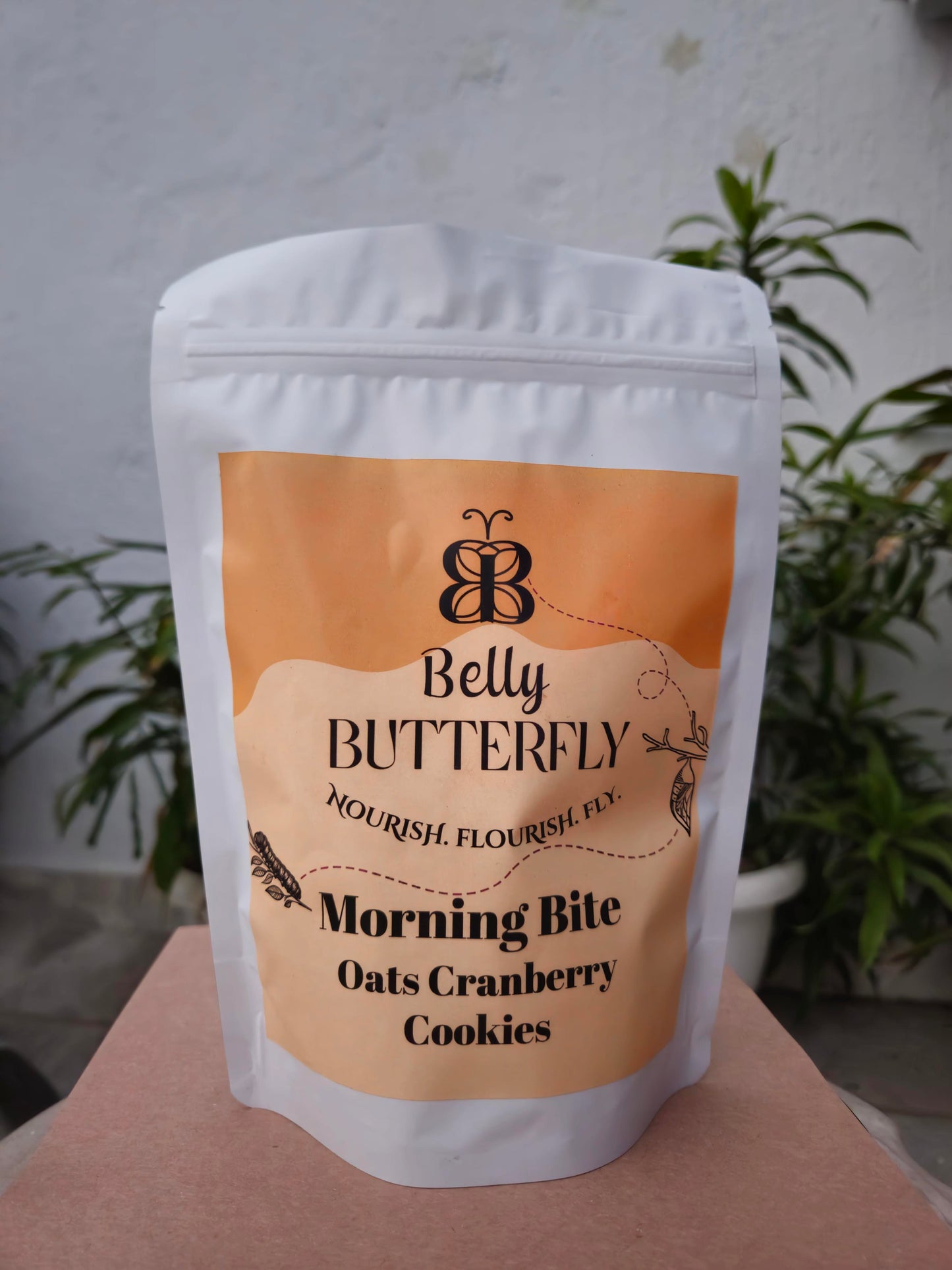 Morning Bite - Oats Cranberry Cookies, 200g